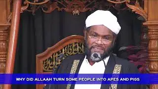 Why Did Allaah Turn Some People Into Apes And Pigs - Shaikh Shafayat