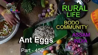 RURAL LIFE OF BODO COMMUNITY IN ASSAM, INDIA, Part - 450 ...
