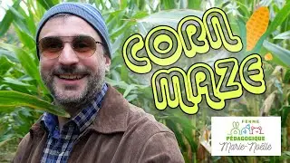 The Charming Farm of Marie-No&euml;lle Beaulieu: Animals, Corn Maze, and Country Charm!