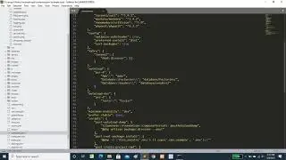 How to update composer and uninstall package