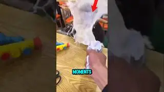 Top 5 Funniest Bruh Moments Ever Caught on Camera! 😂🤣 | Ultimate Bruh Compilation