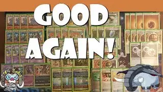Donphan is a Good Pokemon Deck in Expanded Again!