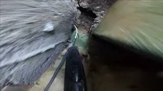 Likwidacja dużego gniazda os przy pomocy odkurzacza