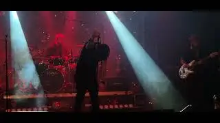 La Sală cu Rechinii - Ep. 47 - Sharkus Festivus și album fericit!