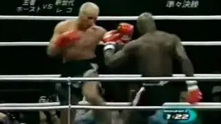Ernesto Hoost Lowkicks Highlight