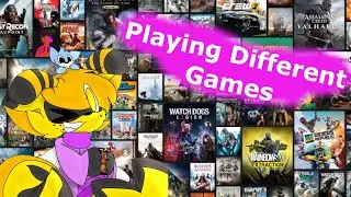 Test Stream