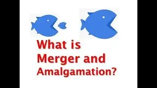 Mergers and Amalgamations of Companies