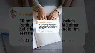 Unvergessliche Schullektionen: Eure Geschichten? 🎓📚 #shorts #fragreddit #kurzundreddit
