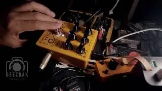 Caline CP-60 Wine Cellar test