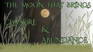 What Is the Harvest Moon? Meaning, Rituals & Energy Explained