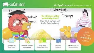 Nahrungsergänzungsstoffe Erklärung – Vitamine, Ballaststoffe & Mineralstoffe