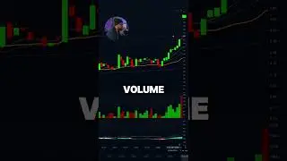 Поп-викторина! $MLGO