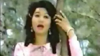 Cai Luong- Vietnamese Folk Opera
