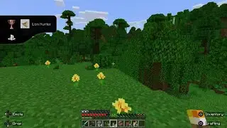 Minecraft: Trophies - Lion Hunter