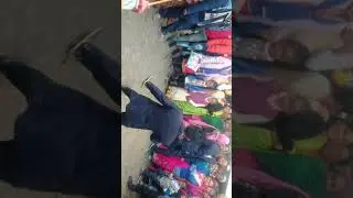 Sadi viha me mje
