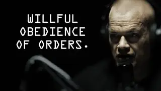 Discipline Is The Willful Obedience Of Orders - Jocko Willink