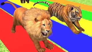 Wild Animal Racing Game, Lion, Tiger, Bear, Deer, Elephant | Roar Race