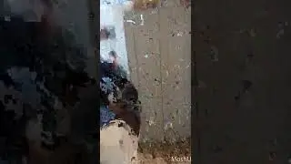 Just watch til the end