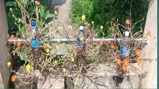 Wonderful Hanging Garden from Plastic Bottles, Remarkable Recycled Gardening Ideas
