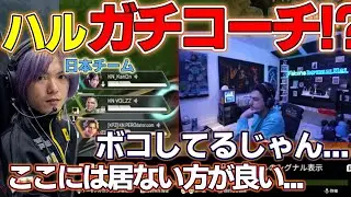 【ALGS】ハル史上初！？日本チームを &rdquo;ガチ&rdquo; コーチング！ 【apex翻訳/imperialhal/falcons/kinotrope】