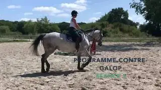 S&eacute;ance 3 - Demi cercle au contre galop, par Florence Lenzini