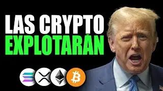 TE HACEN CREER que BITCOIN va a COLAPSAR y el BULL RUN es INMINENTE