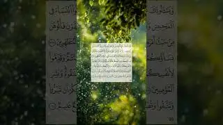 #ngaji#islam#allah#murojaah#quran#genz#genalpha#muhammad#growth#allahuakbar#youtube#shortvideo