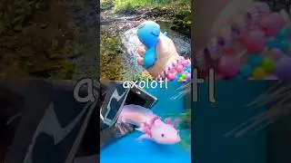 Animal Names for Kids to Learn at the Stream: Bat Camel Rhino Axolotl Cow