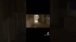Unexplained Videos On The Internet #shorts