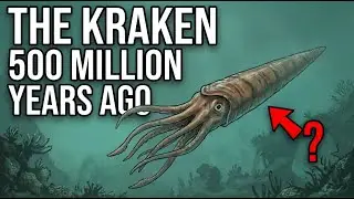 The Giant That Dominated Seas: Ordovician Period