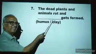 III Standard Science Chapter - Soil - Objective Questions