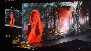 Taylor Swift seven (poem version) Eras Tour Opening Night