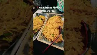 Best Halal Hakka Experience Near Niagara Falls! #shorts #halalfood #niagarafalls