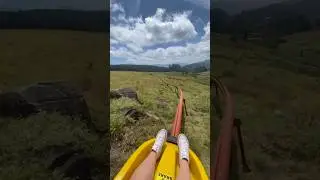 Long Tom Toboggan🎢Between Sabie + Lydenburg. #mpumalanga #longtomtoboggan #lowveld #southafrica #sa