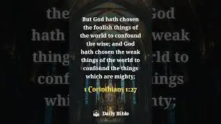 God uses the foolish and weak things  of this world to confound the  wise.