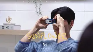 문유강丨SUNFLOWER