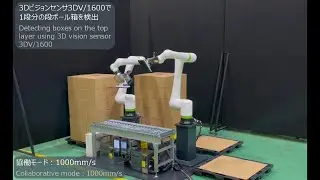 協働ロボットCRXによる段ボールのパレタイジング｜Collaborative Robot CRX Cardboard Palletizing