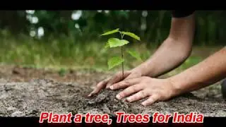Plant A Tree For Your Tomorrow(J.Denver) Sung by Saurav Goswami