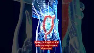 10 преимуществ употребления зеленого чая на ночь