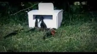 Snail Trap - Dr&aelig;ber-snegle F&aelig;lden