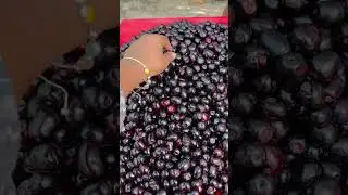 काला जामुन🤤 #fruits#jamun#fruit#youtube #foodiegirl #song #comedy #love 🥂