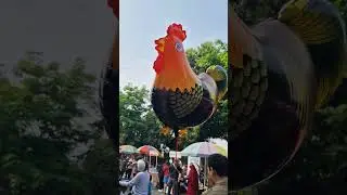 balon ayam jago terbang
