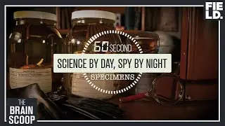 Science by Day - Spy by Night  [60 Second Specimens]