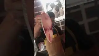 Parla slice