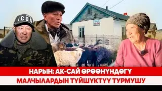 Нарын: Ак-Сай өрөөнүндөгү малчылардын түйшүктүү турмушу