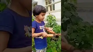 #joyoflearning