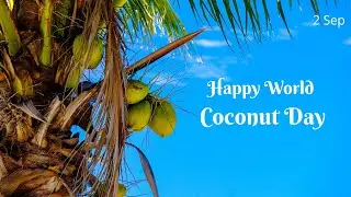 World Coconut Day 2022 🌴 | Health, Heritage & Coconut Wonders | #rtnandhusworld