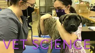 VCTC Veterinary Science Tour