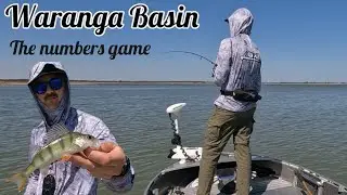 The NUMBERS game | Redfin fishing at Waranga Basin