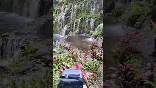 C'est parti pour les pieds froids 😁 #bali #baliwaterfall #waterfall #banyuwana #indonesia #fyp